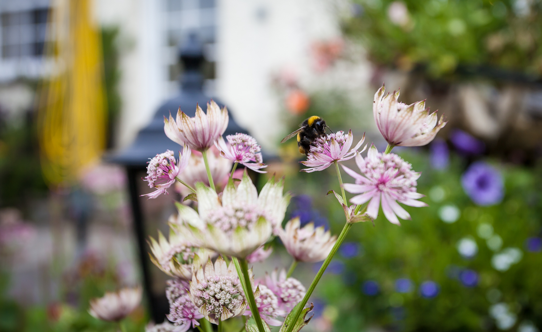 Relax in our cottage garden